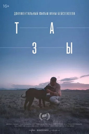 Тазы